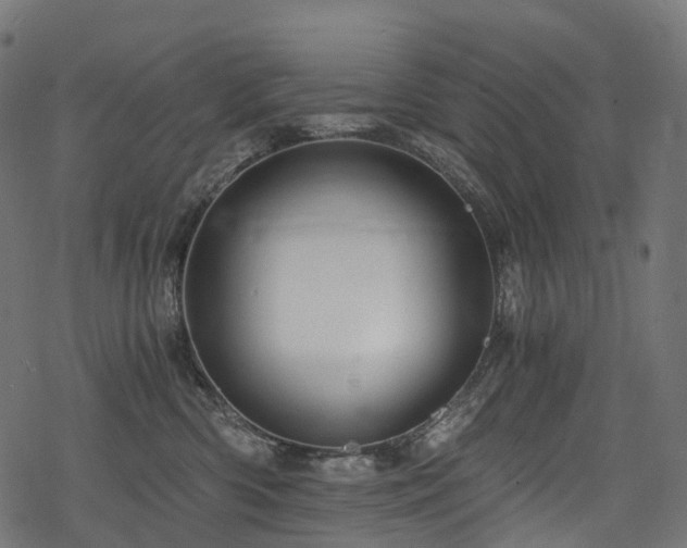 X0000078300426200611031301