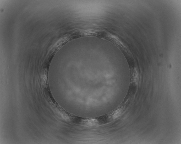 X0000078300427200611031301