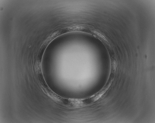 X0000078300429200611031301