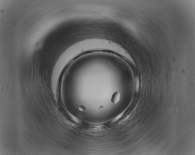 X0000078300431200611031301