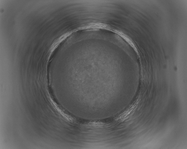 X0000078300437200611031300