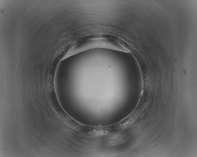 X0000078300464200611031301