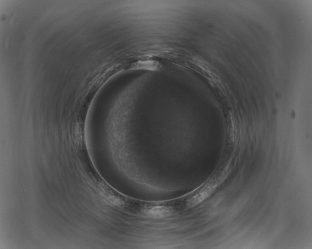 X0000078300467200611031301