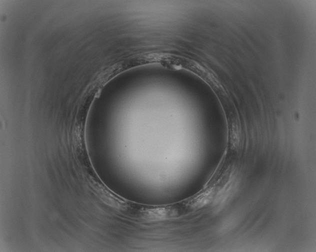 X0000078300473200611031301