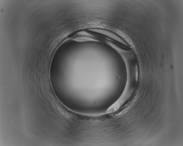 X0000078300481200611031300