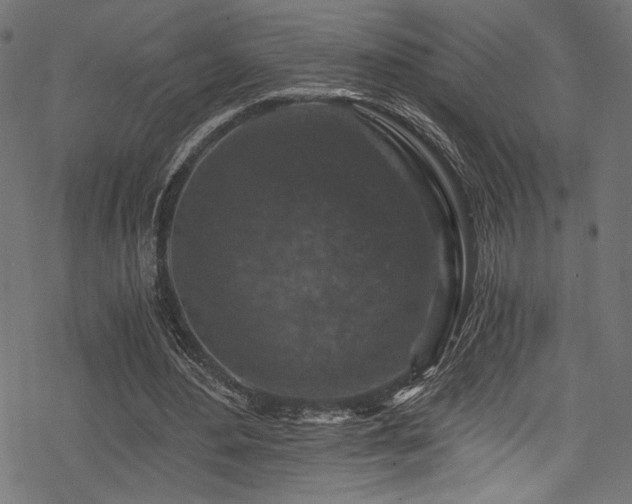 X0000078300484200611031300