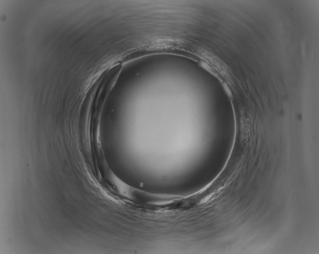 X0000078300485200611031300