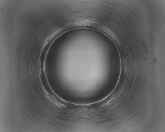 X0000078300486200611031300