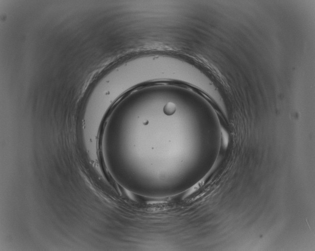 X0000078300496200611031300