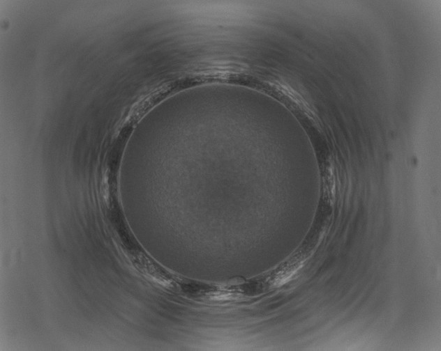 X0000078300504200611031300