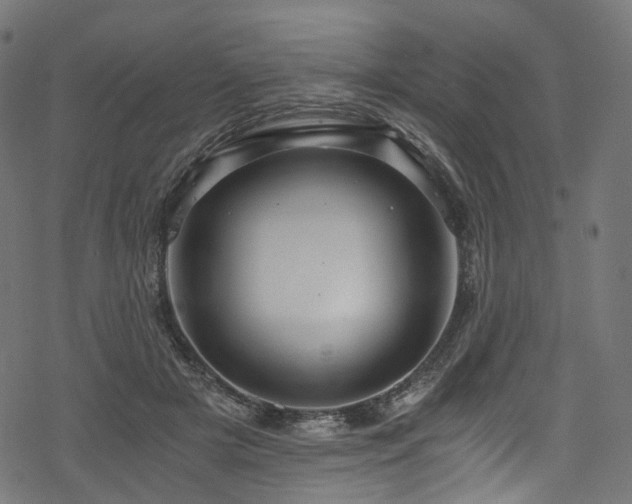 X0000078300505200611031300