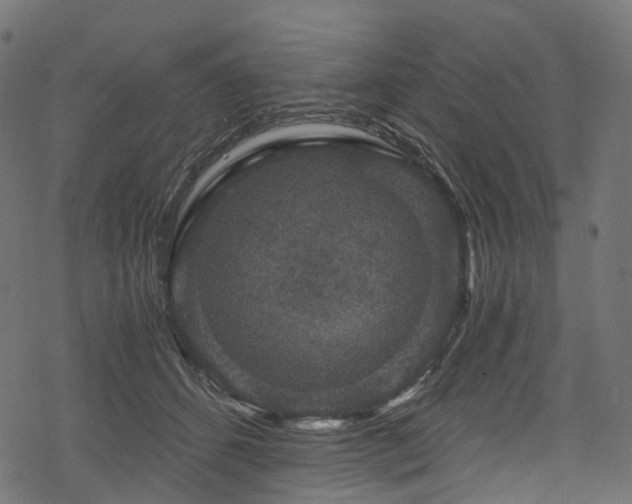 X0000078300512200611031300