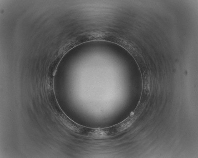 X0000078300518200611031300