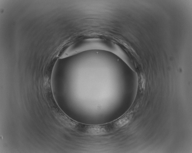 X0000078300521200611031300