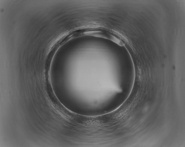 X0000078300535200611031259