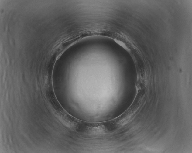 X0000078300548200611031259