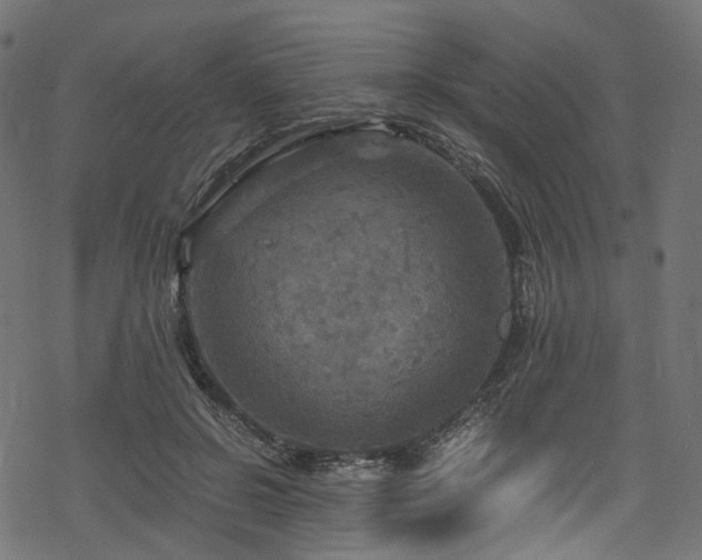 X0000078300550200611031259