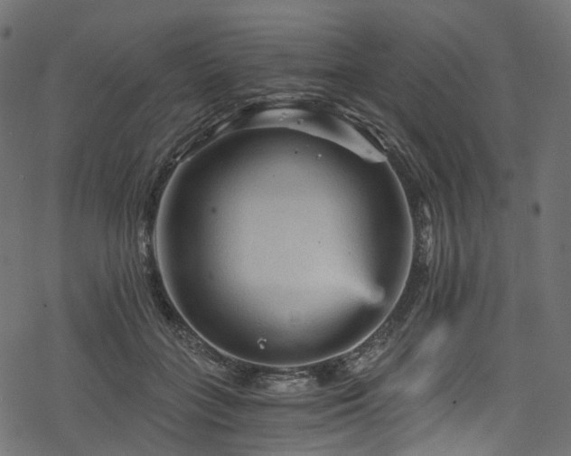 X0000078300555200611031259