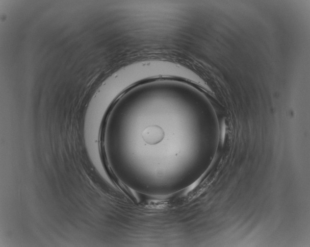 X0000078300560200611031259