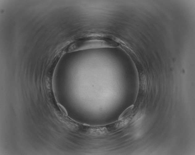 X0000078300571200611031259