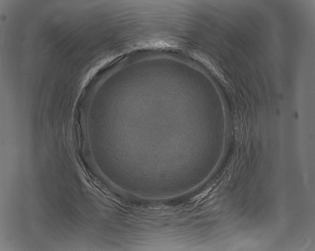 X0000078300583200611031259