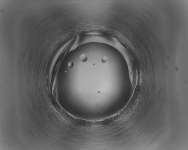 X0000078300593200611031258