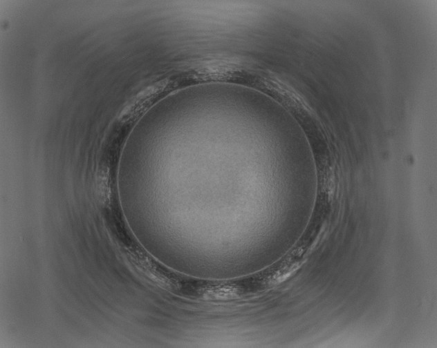 X0000078300599200611031258