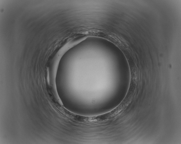 X0000078300607200611031258