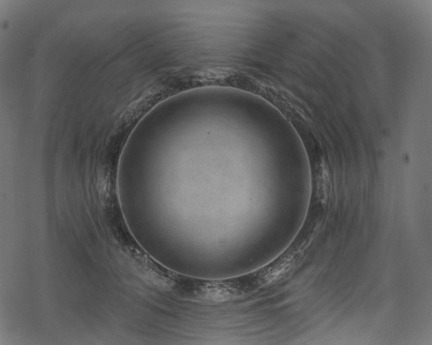 X0000078300608200611031258