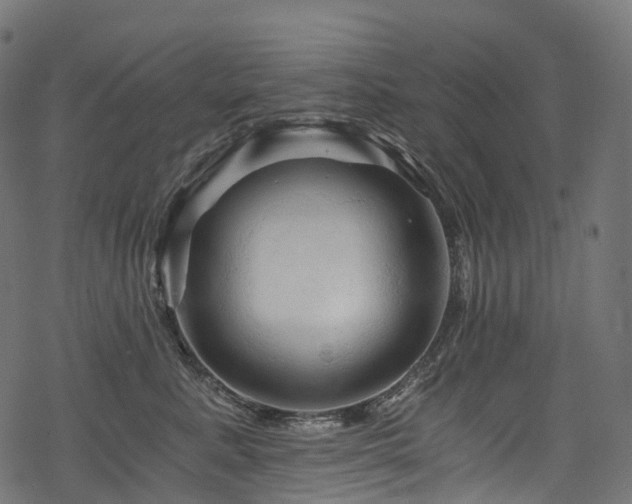 X0000078300619200611031258