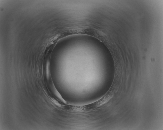X0000078300624200611031258