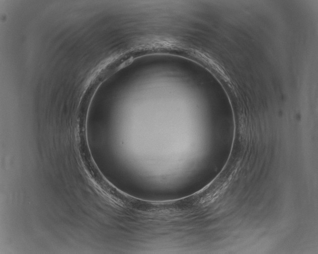 X0000078300629200611031257