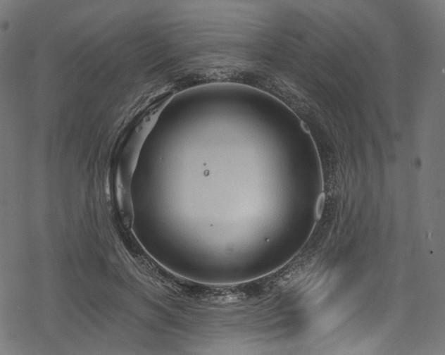 X0000078300646200611031258