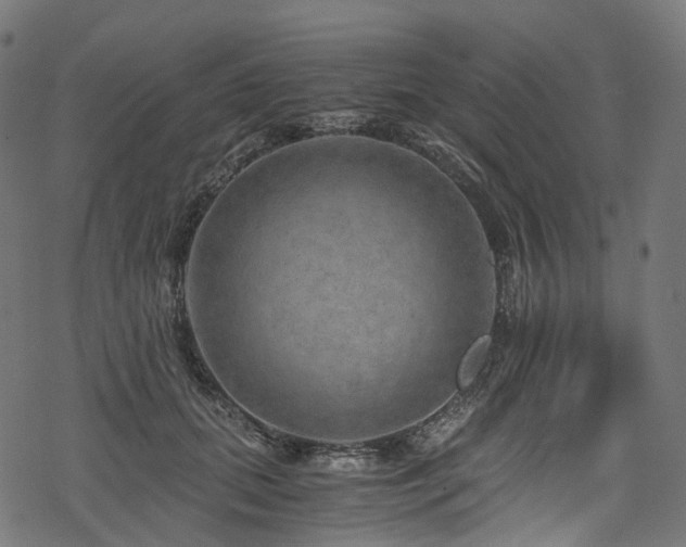 X0000078300655200611031258