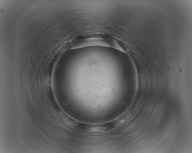 X0000078300657200611031258