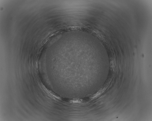 X0000078300662200611031258