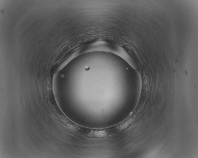 X0000078300665200611031258
