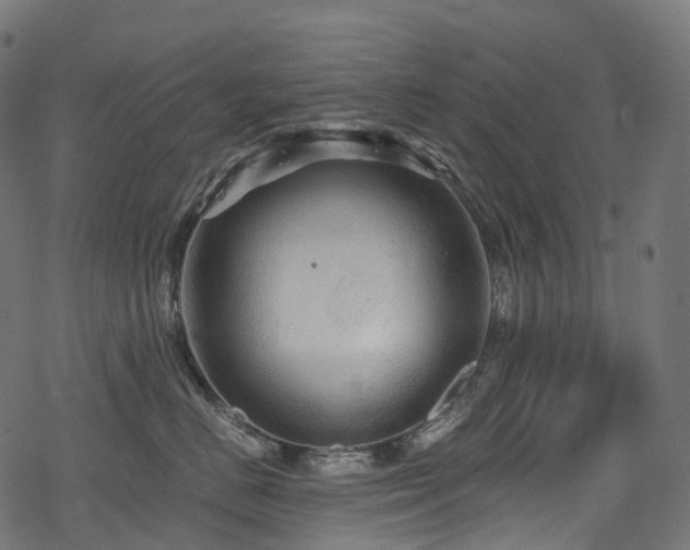 X0000078300670200611031258