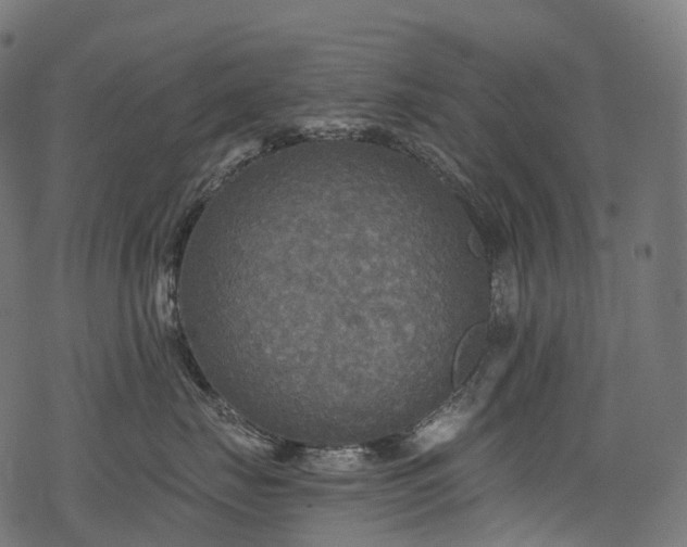 X0000078300671200611031258