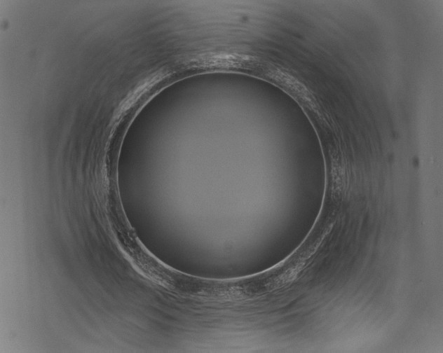 X0000078300674200611031257