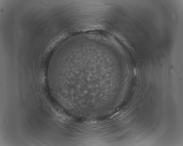 X0000078300687200611031257