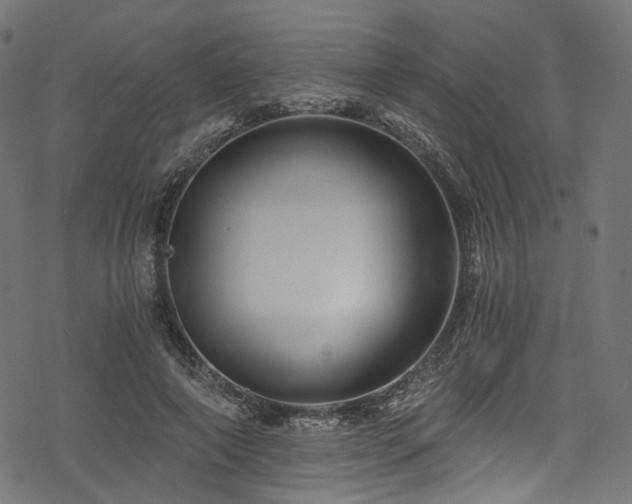 X0000078300690200611031257
