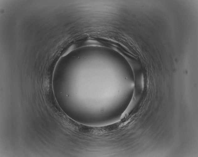 X0000078300697200611031257