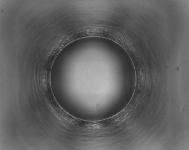 X0000078300698200611031257