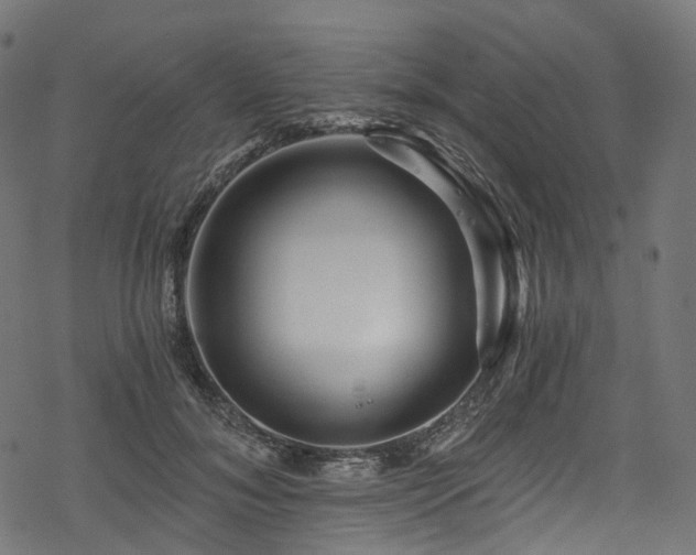X0000078300700200611031257