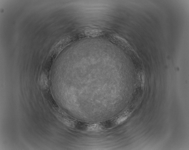 X0000078300705200611031257