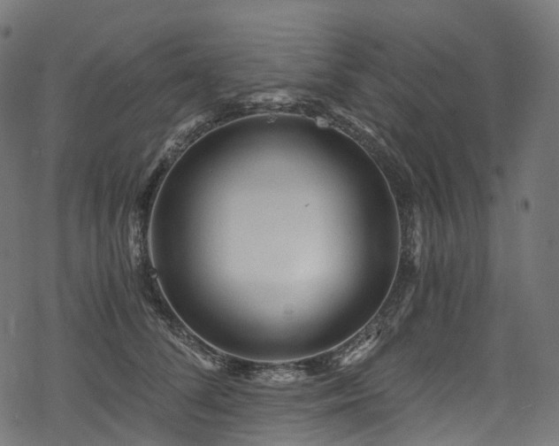 X0000078300708200611031257