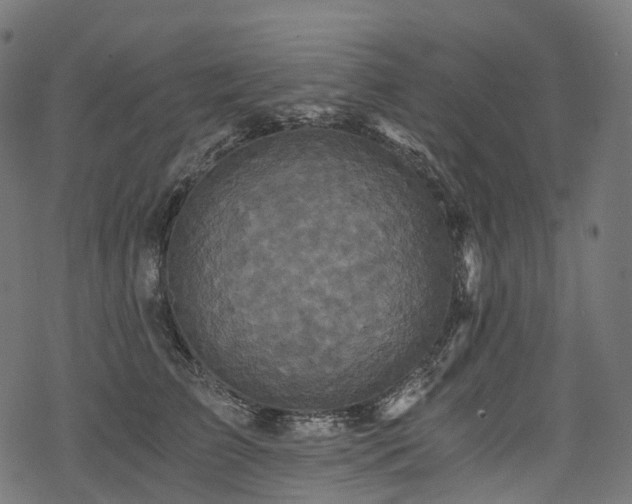 X0000078300709200611031257