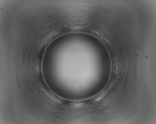 X0000078300710200611031257