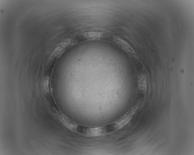 X0000078300717200611031256